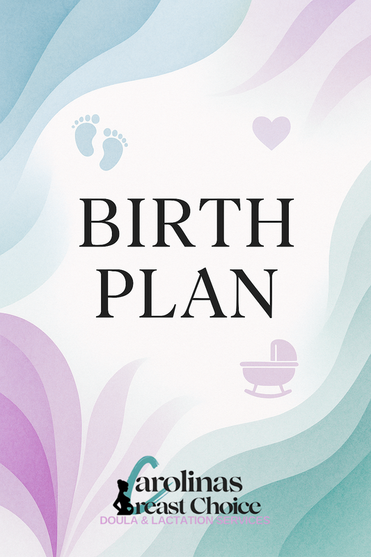 Birth Plan Template