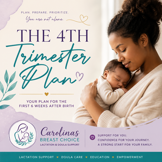 4th Trimester Plan